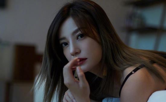 Triệu Vy là ai? Nổi danh với Tiểu Yến Tử, lấy chồng đại gia, đời tư ồn ào