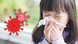 Bệnh cúm A: Dấu hiệu, triệu chứng, điều trị và cách phòng ngừa