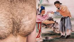 Nhân tướng học: Vì sao đàn ông không mao thì quý như vàng, phụ nữ có phúc thì ít mao?