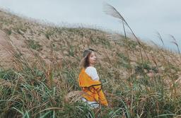 Tháng 10 đến Bình Liêu ngắm lau: Kinh nghiệm du lịch tự túc từ A đến Z