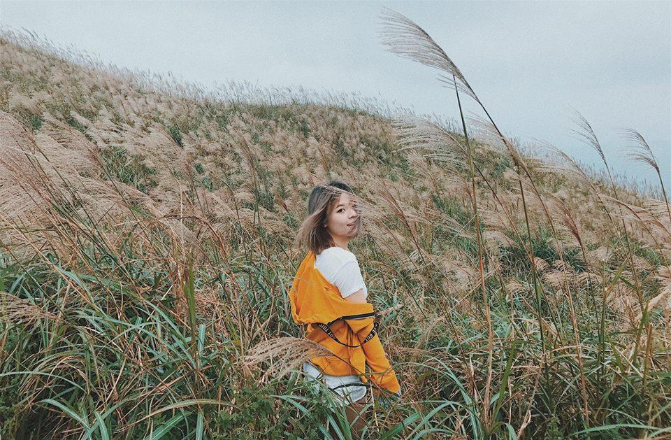 Tháng 10 đến Bình Liêu ngắm lau: Kinh nghiệm du lịch tự túc từ A đến Z