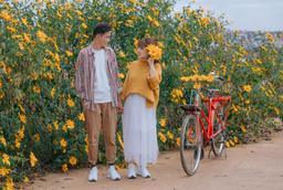 Định vị những cung đường săn hoa dã quỳ đẹp nhất Đà Lạt