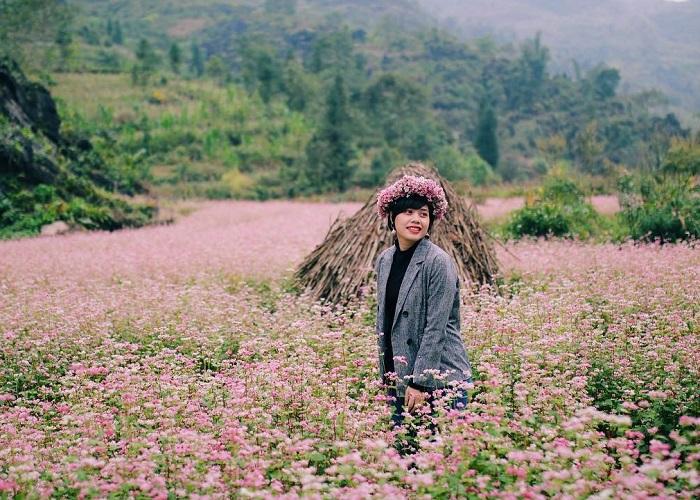 "Bỏ túi" tọa độ 3 đồi hoa tam giác mạch đầy thơ mộng giữa phố núi