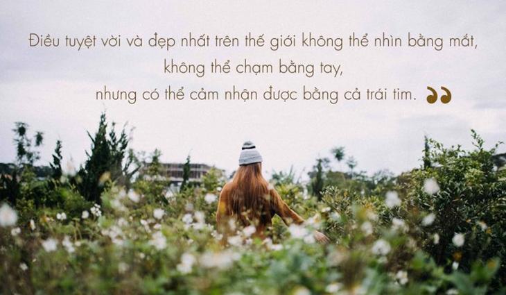 Những câu nói hay về cuộc sống, tình yêu và tình bạn