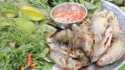 Cá rô đồng làm món gì ngon? Bật mí 5 cách biến tấu cho món cá thêm hấp dẫn