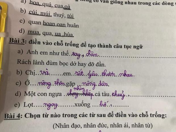 Khi học sinh tiểu học làm bài tập tiếng Việt và cái kết