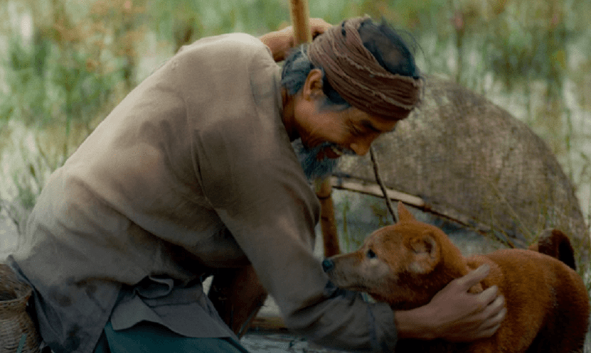 Phim Cậu Vàng vừa tung trailer đã gây tranh cãi quanh hình dáng của Shiba