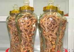 Vụ người chồng cương dương 30 giờ, chuyên gia Đông y chỉ cách dùng ba kích