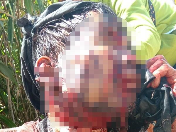 Quảng Nam: Đi thăm vườn sâm người đàn ông bị gấu rừng tấn công nguy kịch