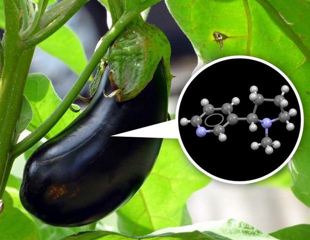 Khám phá bí mật “động trời” mà nhiều loại đồ ăn giấu chúng ta bấy lâu nay