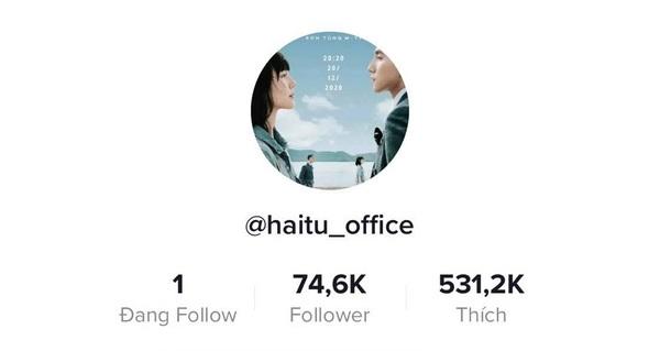 Xuất hiện Hải Tú giả mạo trên TikTok, cư dân mạng ùa vào bình luận