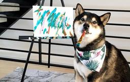 Chú chó Shiba thu nhập tận 400 triệu nhờ bán 288 bức tranh tự vẽ