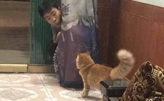 Thanh niên xa nhà về ăn Tết bị bố xem như vô hình vì bận chơi ú oà với mèo