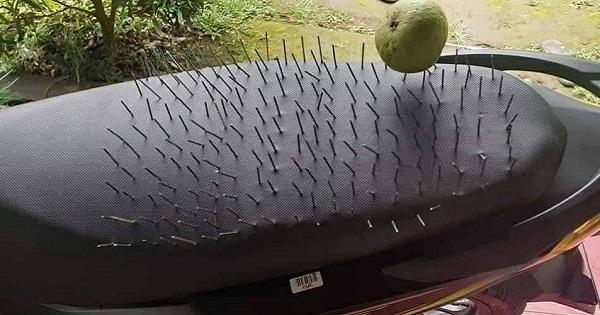 Cười ngất với chiêu khẳng định chủ quyền quá độc đáo của "nóc nhà"