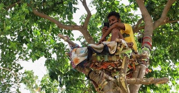 Bệnh viện quá tải, chàng trai nhiễm Covid-19 leo lên cây tự cách ly