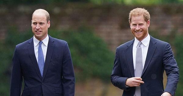 William - Harry liên tục cười với nhau khi khánh thành tượng mẹ Diana