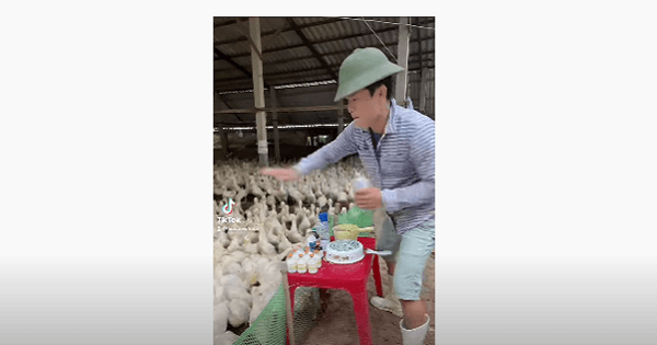 Sinh ra làm DJ nhưng bố mẹ bắt đi chăn vịt, anh nông dân "quẩy tưng" MXH