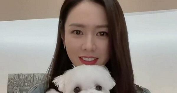 Đăng clip ôm cún cưng, nhan sắc mộc tuổi 40 của Son Ye Jin xôn xao MXH