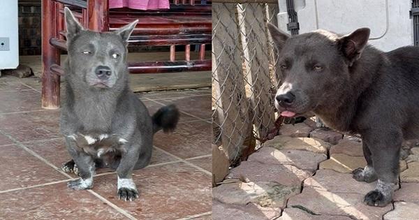 Idol Nguyễn Văn Dúi comback với biểu cảm "khinh đời" gây sốt