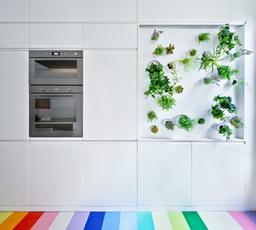 Căn hộ 71m² nổi bật với sàn bếp cầu vồng và khu vườn thẳng đứng trên tường