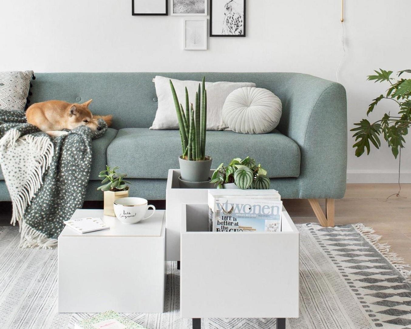 Phòng khách đẹp và tiện nghi với chi phí eo hẹp: Hoàn toàn có thể!