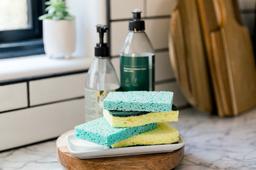 5 thứ trong phòng bếp tưởng vô hại nhưng có thể khiến chúng ta... phát ốm!