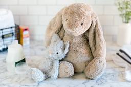 Hướng dẫn chi tiết cách làm sạch thú bông sẽ cho bé yêu thỏa thích ấp ôm