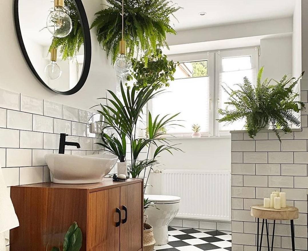Ngắm 10 phòng tắm đẹp "mướt mắt" nhờ sử dụng cây xanh để trang trí