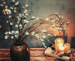 Cắm hoa bạch đàn, trend trang trí nhà hút chị em vì vừa thơm, vừa đuổi muỗi