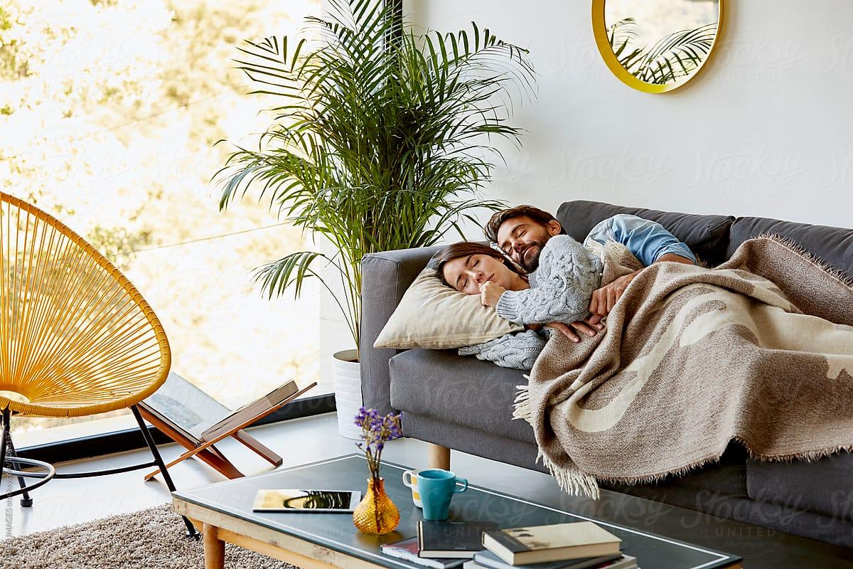 Muốn sofa bền lâu, đừng ngủ trên sofa dù chỉ là "một lúc" và 4 lưu ý khác