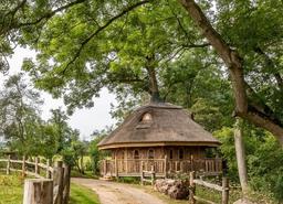 "Ngôi nhà trên cây", không gian sống nhiều người muốn được trải nghiệm một lần