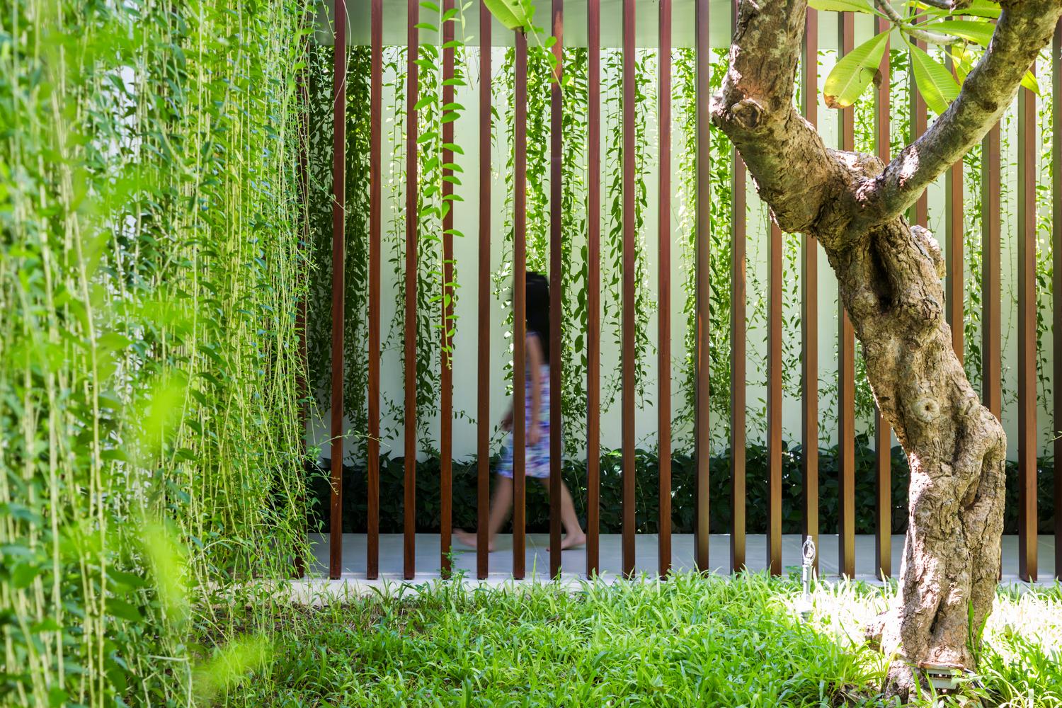 The Drawers House, ngôi nhà tại Vũng Tàu với những "ngăn kéo cảnh quan" rợp bóng cây xanh tuyệt đẹp