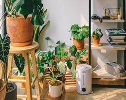 6 cách giúp làm mát ngôi nhà giữa mùa Hè nắng nóng, tiết kiệm đáng kể chi phí điều hòa