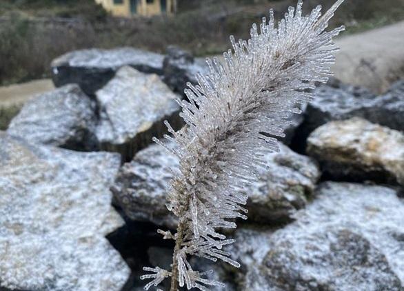 Nhiệt độ giảm sâu, Hà Giang xuất hiện băng giá